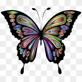 See The Butterfly Monarch Butterfly Download Animal - Clip Art Butterfly, HD Png Download - monarch butterfly png