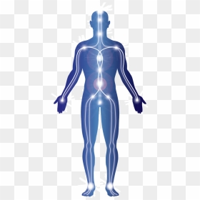Human Body Energy Png, Transparent Png - body png