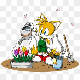 Image Sonic Miles Tails Prower Png News - Miles Prower Sonic X, Transparent Png - tails png