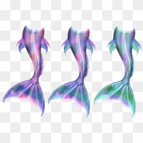 Ariel Mermaid Tail Siren Drawing - Mermaid Tail Drawing, HD Png Download - tails png