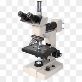 Trinocular Microscope, HD Png Download - microscope png