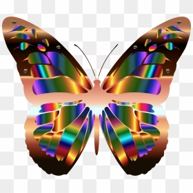 Iridescent Monarch Butterfly 20 Clip Arts - Titli Photo Download Hd, HD Png Download - monarch butterfly png