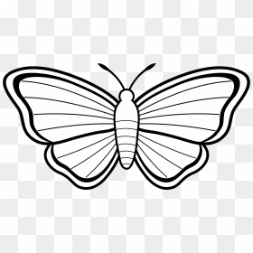 Butterfly Wings Black White Clipart - Butterfly Colouring Pages For Kids, HD Png Download - monarch butterfly png