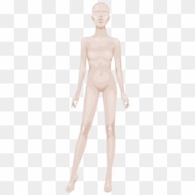 Male, HD Png Download - body png