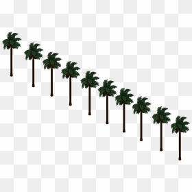 Hollywood - Tree, HD Png Download - hollywood png