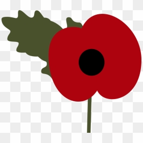 Poppy Drawing Photo - Remembrance Day Poppy Clipart, HD Png Download - poppy png