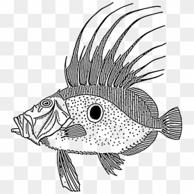 Large, Drawing, Fish, Swimming, Scales, Spike, Spot - Clip Art, HD Png Download - spike png