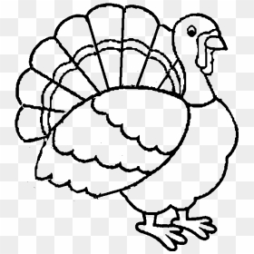 Best Turkey Printable Coloring Pages For Kids Boys - Turkey Coloring Pages For Kids, HD Png Download - thanksgiving turkey png