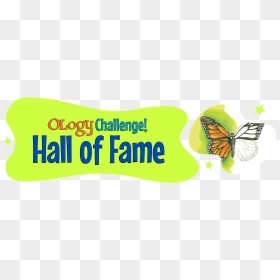 Butterfly Hall Of Fame - Graphic Design, HD Png Download - monarch butterfly png