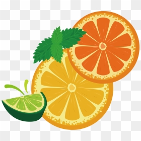 Thumb Image - Vector Illustrator Orange Png, Transparent Png - limon png