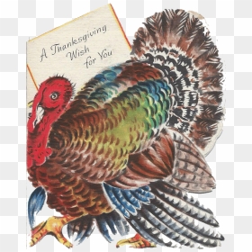Turkey, HD Png Download - thanksgiving turkey png