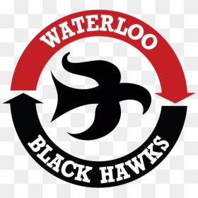 Waterloo Blackhawks Hockey Logo, HD Png Download - blackhawks logo png