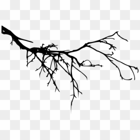 Twig Branch Silhouette - Transparent Tree Branch Silhouette, HD Png Download - clear png