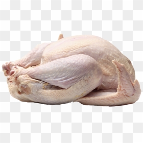 Transparent Frozen Turkey Png, Png Download - thanksgiving turkey png