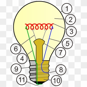 File Incandescent Light Bulb Svg Wikimedia Commons - Light Bulb Cross Section, HD Png Download - lightbulb icon png