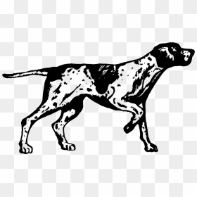 German Shorthaired Pointer Clipart Black And White, HD Png Download - pointer png