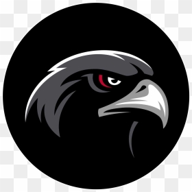 School Logo - Sheridan Blackhawks High School Logo, HD Png Download - blackhawks logo png