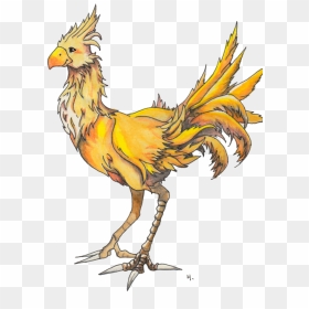 Thumb Image - Chocobo Png, Transparent Png - chocobo png