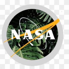 Nasa ⭐️ • Icons like/reblog If Saved - Aesthetic Nasa Logo, HD Png Download - profile icon png