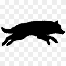 Red Fox Gray Wolf Coyote - Running Wolf Silhouette Png, Transparent Png - wolf silhouette png