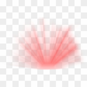 Red Lighting Png - Macro Photography, Transparent Png - red light png