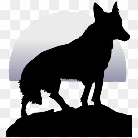 Black Wolf Transparent Background, HD Png Download - wolf silhouette png