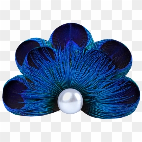 Peacock Feather Pearl Pet Hair Clip - Peacock Feather Hair In Png, Transparent Png - peacock feather png