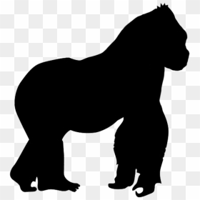 Thumb Image - Clipart Gorilla Silhouette, HD Png Download - wolf silhouette png