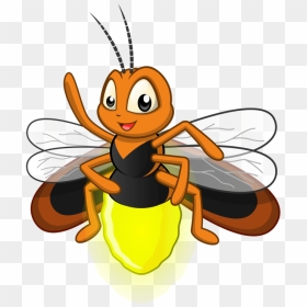 Fireflies Lightning Bug Illustrations - Clipart Firefly, HD Png Download - fireflies png