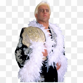 Ric Flair Png Page - Ultimate Ric Flair Collection (2003), Transparent Png - ric flair png