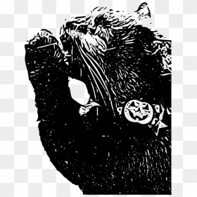 Transparent Cute Black Cat Png - Illustration, Png Download - cute pumpkin png