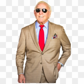 Ric Flair In Suit , Png Download - Wwe Ric Flair Suit, Transparent Png - ric flair png