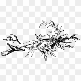 Sword And Olive Branch Clip Arts - Olive Branch Around The Sword, HD Png Download - olive branch png