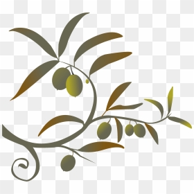 Branch Png Siren Song Of The Counter - Olive Branch Images Clip Art, Transparent Png - olive branch png