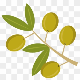 Watercolor Olive Branch Png - Clip Art Olive Tree, Transparent Png - olive branch png