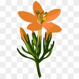 Plant,flower,petal - Cilueta Flor, HD Png Download - flower petal png