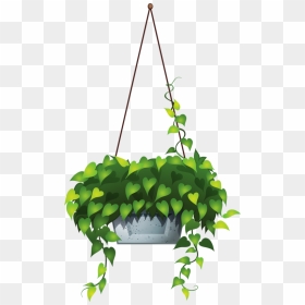 Transparent Garden Plants Png - Hanging Plant Pots Png, Png Download - hanging plant png