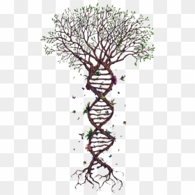 Png Images, Pngs, Dna, Dna Strand, Forensics, - Tattoo Dna Tree, Transparent Png - dna strand png