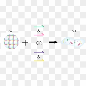 When Adding Only Dna Strand A Or Dna Strand B , - Graphic Design, HD Png Download - dna strand png