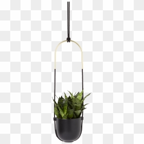 White/black Umbra Triflora Hanging Planter For Window - Hanging Planter Black, HD Png Download - hanging plant png