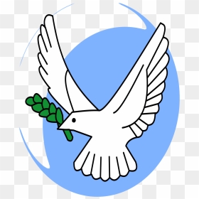 Zeytin Dalı Güvercin Png, Transparent Png - olive branch png