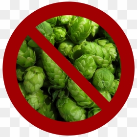 No Hops, HD Png Download - hops png