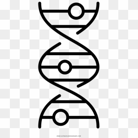 Dna Strand Coloring Page, HD Png Download - dna strand png