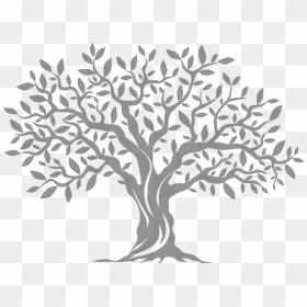 Olive Tree Computer Icons, HD Png Download - olive branch png