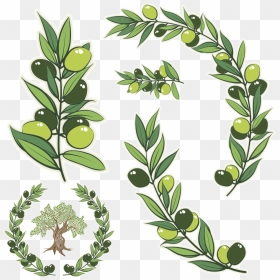 Transparent Olive Branches Clipart - Olive Branch Meaning, HD Png Download - olive branch png