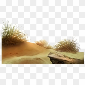 Beach Grass Png Picture - Beach Png Background Full Hd, Transparent Png - beach sand png