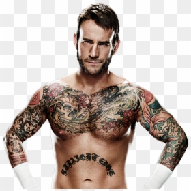 Cm Punk Png Champion , Png Download - Beard For Pro Wrestlers, Transparent Png - cm punk png