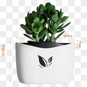 Nail Free Hanging Plant Pots, White - White Flower Pot Png, Transparent Png - hanging plant png