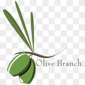 The Branch Environment Olijf Bomen Pinterest - Stock Photography, HD Png Download - olive branch png