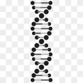 Black And White Dna Strand , Png Download - Dna Strand Black And White Transparent Background, Png Download - dna strand png